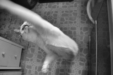 DSC_9975-1.jpg