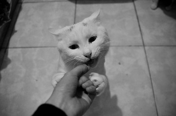 DSC_1875.jpg