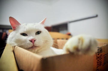 DSC_1979.jpg