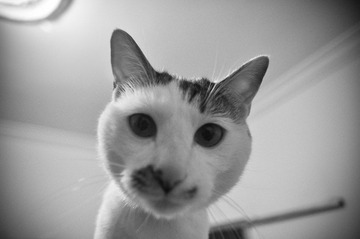 DSC_1985.jpg