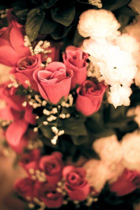 婚礼-001_filtered 2012-4-9 18-52-07<br />