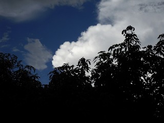 1CA90CA8-2D5D-4A16-BD2C-8BD259AC3055/L0/001