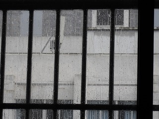 603B76D9-879F-4572-8F18-DF622340DD0B/L0/001