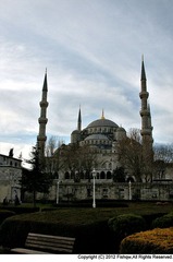 070.jpg