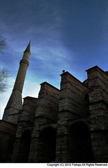 071.jpg