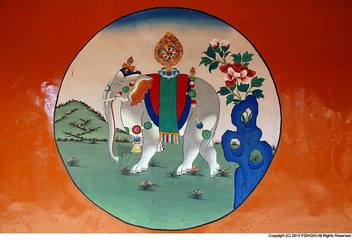 43_DSC_0194_good luck.jpg
