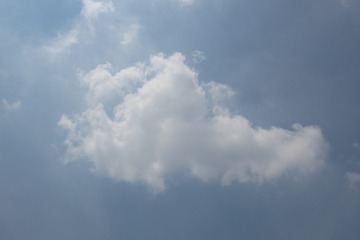 164484