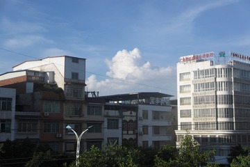 164854