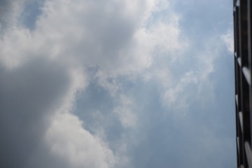 164481