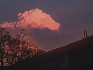 151919