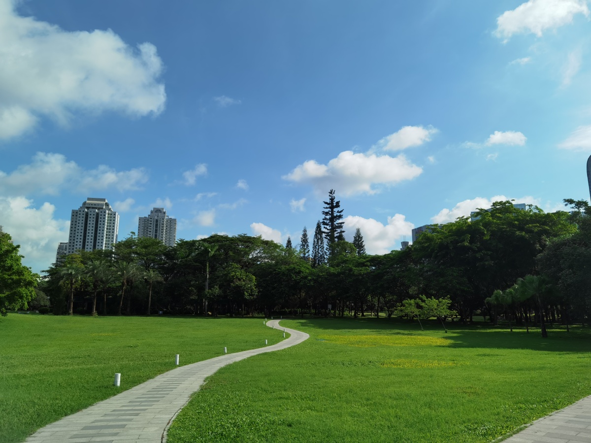 夏天清晨的荔香公园