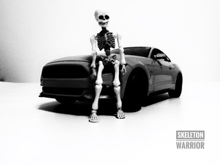 Optional(