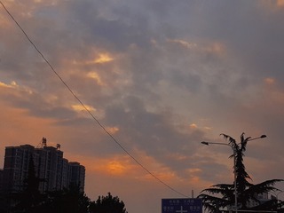 337610