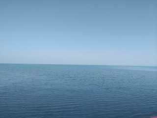 131