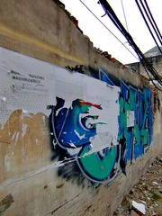CIMG3572_副本.JPG