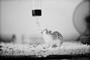 20110814-scan0039.jpg