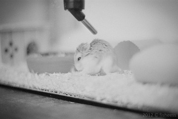 20110814-scan0034.jpg