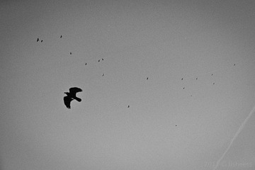 20110814-scan0014.jpg