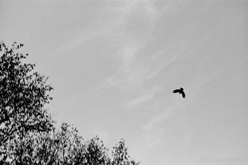 20110814-scan0022.jpg