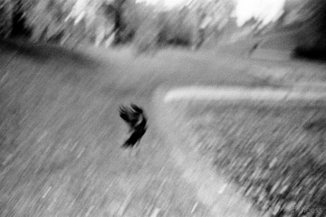 20110814-scan0029.jpg