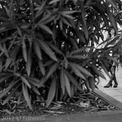 CONTAX 40 - KODAK D-X 5222 @ ISO400-Scan-120819-0030.jpg