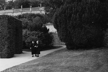 LEICA 05 - KODAK D-X 5222 @ ISO400-scan0003.jpg