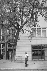 LEICA 07 - KODAK D-X 5222 @ ISO100-scan0065.jpg