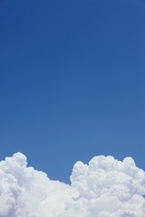 C0D48FB0-3F65-43D5-98A8-E7DE76F7046B/L0/001