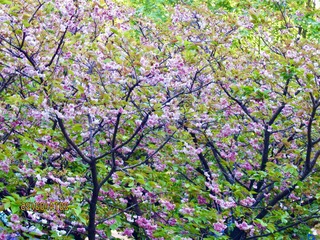 A104136E-A415-497F-8205-16D492814846/L0/001