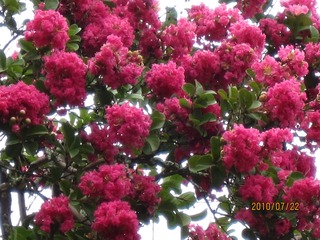 1EE52E64-7E22-4FA9-A461-4C60209BA374/L0/001