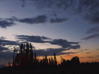 05F07CA8-EEDB-4AB8-84BB-0F06D81D9087/L0/001
