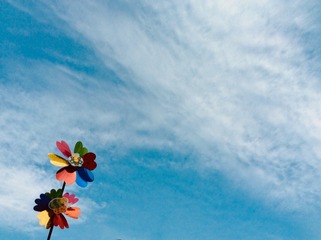 EF24C1D3-E88E-49A8-BC2E-B60B0841C9C8/L0/001