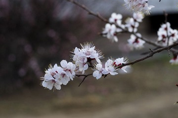 DSC_0003.jpg