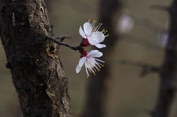 DSC_0005.jpg