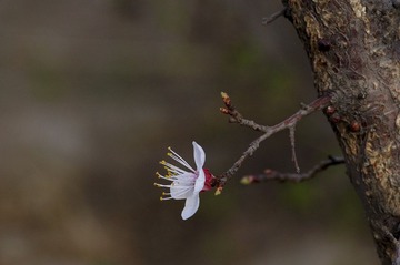 DSC_0007.jpg