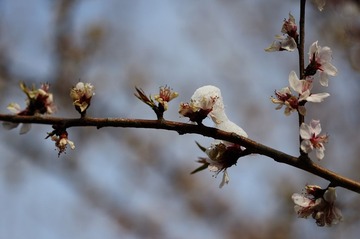 DSC_6295.jpg