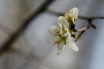 DSC_6297.jpg
