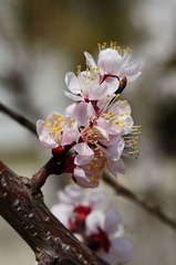 DSC_6310.jpg