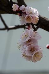 DSC_6313.jpg