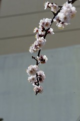 DSC_6314.jpg