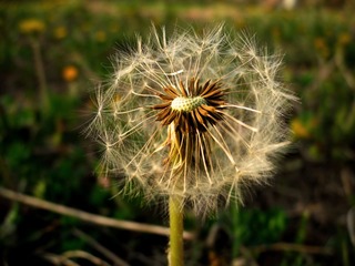 DSCN0659.jpg