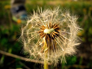 DSCN0660.jpg