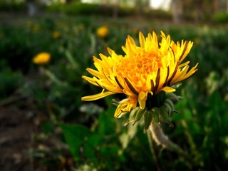 DSCN0661.jpg