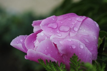 DSC_6413.jpg