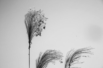 1221219
