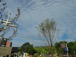 3567559