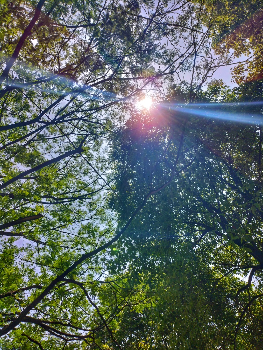 校园风景毕业季晴天光阴光影