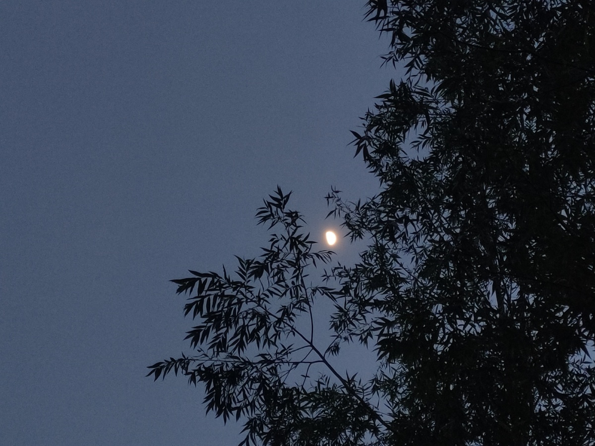 晚风踩着云朵月亮贩售快乐