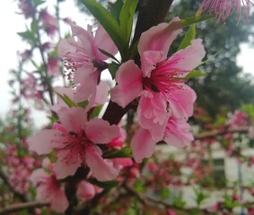 61F2B7B2-B025-41BA-8FD4-52979EBCCF7C/L0/001