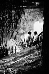 DSC00902.jpg